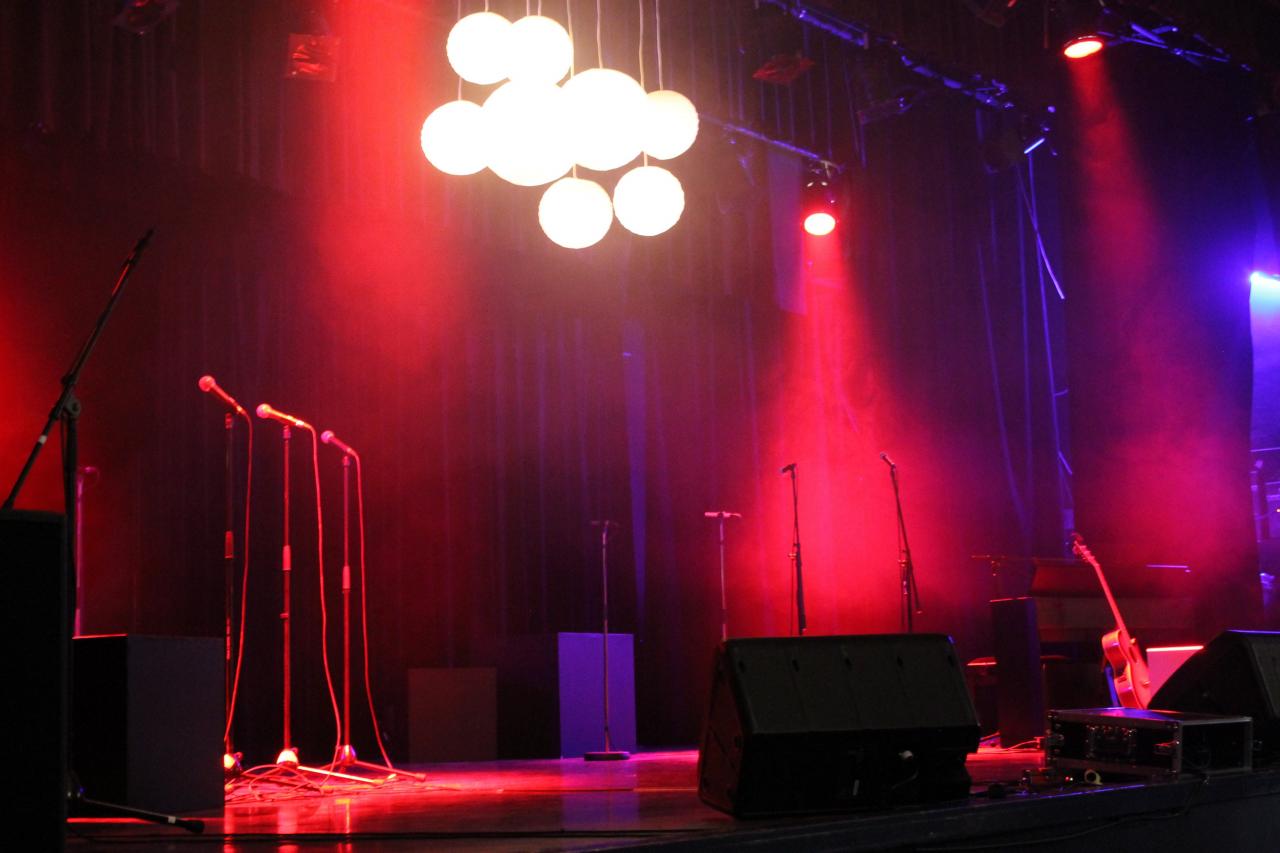 Concert variété française
